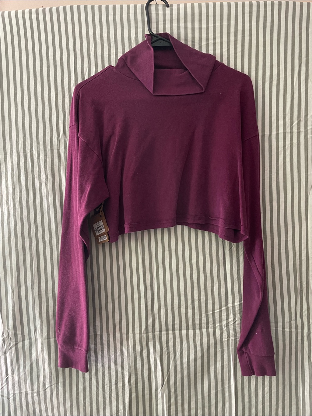 Northwest Crop Top Funnel Neck Long-Sleeve Top Plum